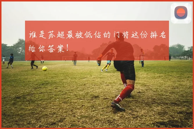 谁是苏超最被低估的门将这份排名给你答案!