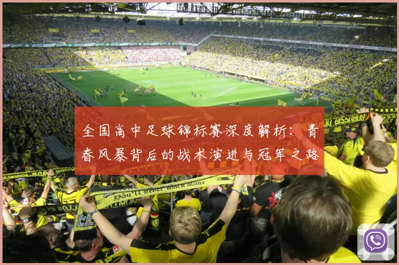 全国高中足球锦标赛深度解析：青春风暴背后的战术演进与冠军之路